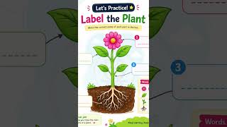 #science #kids #smartmomseducation #evsworksheet