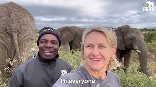 A Baby Elephant & His Moms | Setombe Chases Kumbura, While Phabeni Suckles from Bubi! by HERD Elephant Orphanage South Africa 41,447 views 1 month ago 11 minutes, 23 seconds