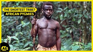 Meet the African Pygmies. The shortest set of human beings.