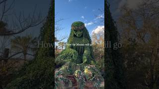 Journey of Water w Moana
