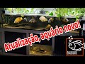 Atualizao  aqurio novo aqurio indo embora  alimentao dos oscars