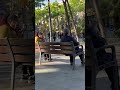 Lo que hay que oír sin querer oír – arte urbano, urban art clip, Francisco de Pájaro