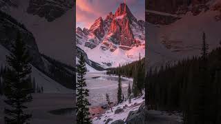 Te Gusta La Soledad?