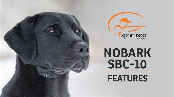 SportDOG Brand® NoBark SBC-10 :: How to Change the Mode 