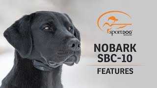 SportDOG Brand® NoBark SBC-10 :: Features by SportDOG Brand 18,829 views 4 years ago 1 minute, 34 seconds