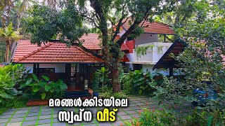 സ്വർഗ്ഗതുല്യം, പച്ചപ്പ് മൂടിയ ഈ തനി മലയാളി വീട് | Traditional Style Kerala House