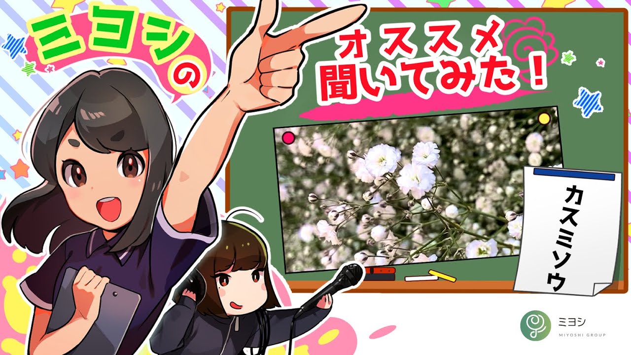 カスミソウ】ピュアホワイト紹介【株式会社ミヨシ】 - YouTube