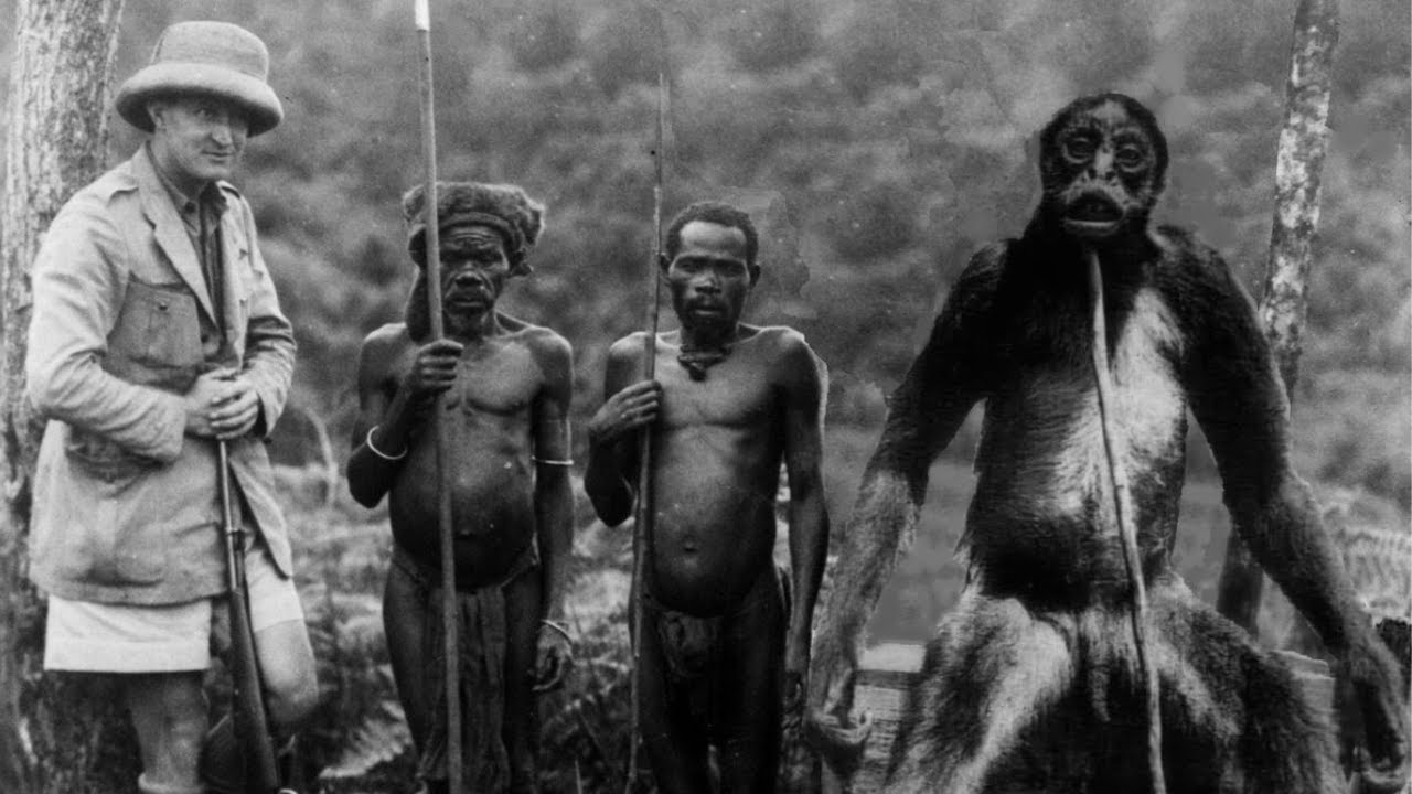 20 cosas extrañas encontradas en selvas de todo el mundo - YouTube