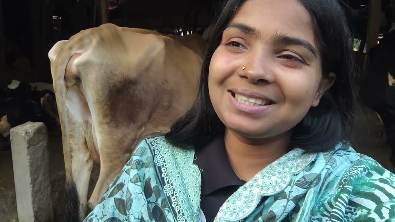 নতুনভাবে কোন গরু দিয়ে খামার করলে লাভজনক বাস্তব জানুন