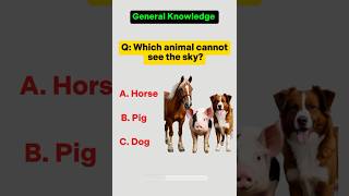 General Knowledge Quiz