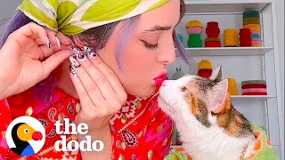 Eccentric Cat Picks Out Mom's Outfits Every Day | The Dodo