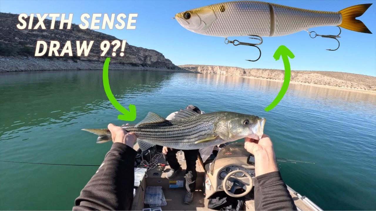 Lake Pleasant Fishing(NEW WAY TO CATCH THEM!)