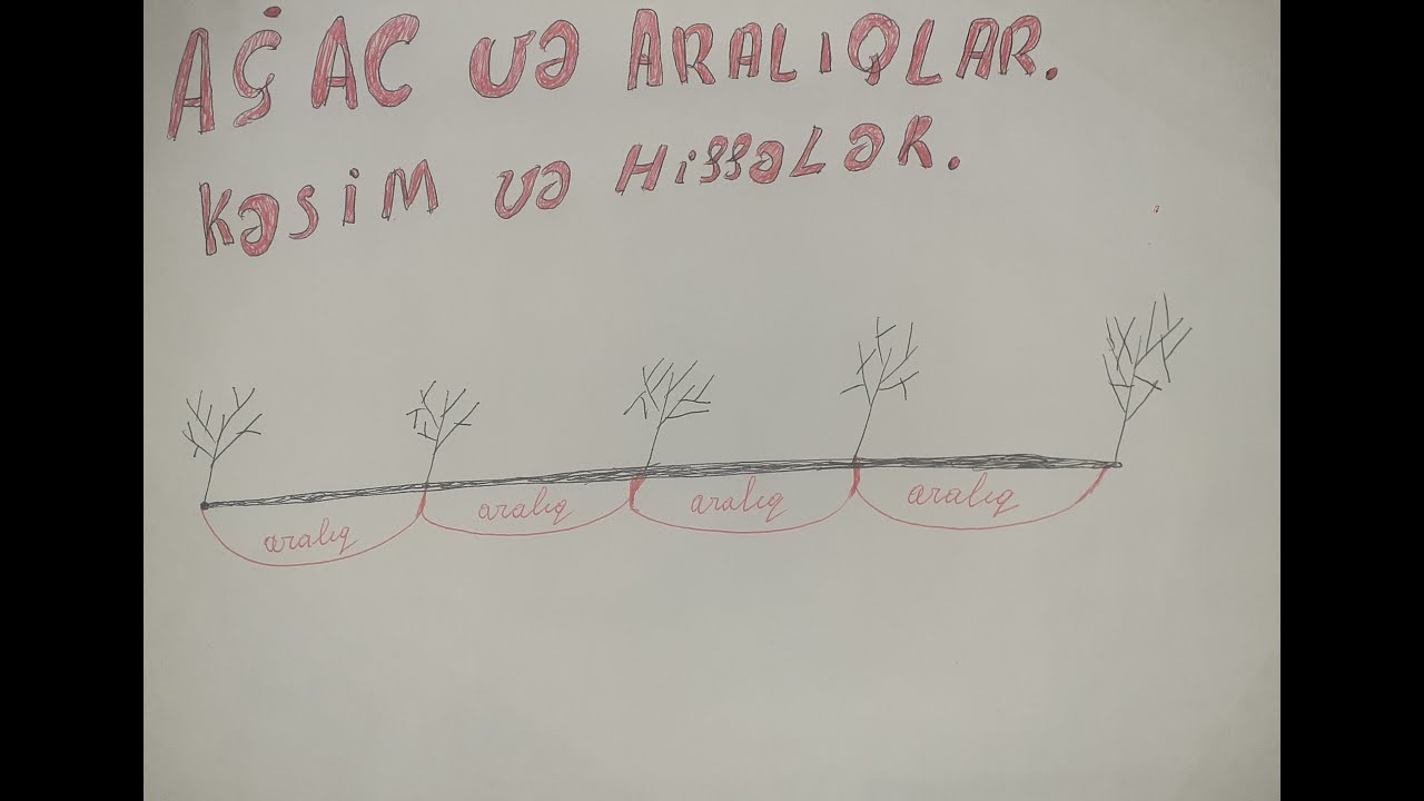 Şamxal Sadixli  Kesim ve hisseler , agac ve araliqlar , MHM izah numunelerle