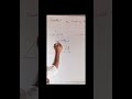 don't mess with physics student🤦🤦