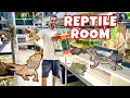 Craziest best family owned pet shop in florida hands down