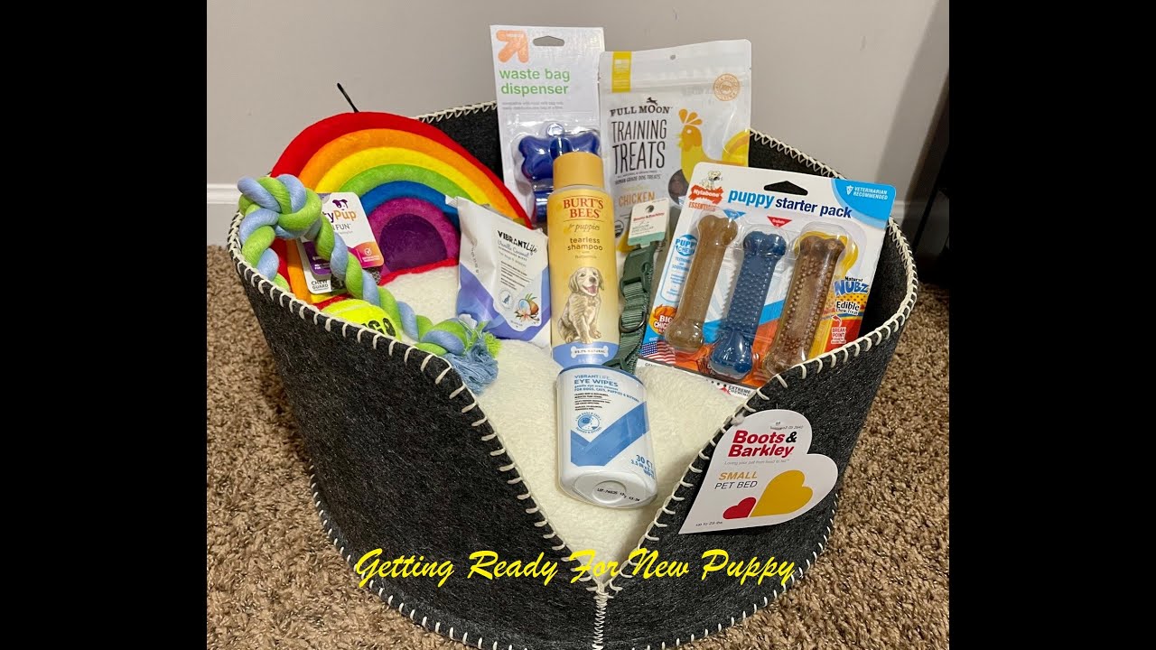 Things you would need for your  new puppy
