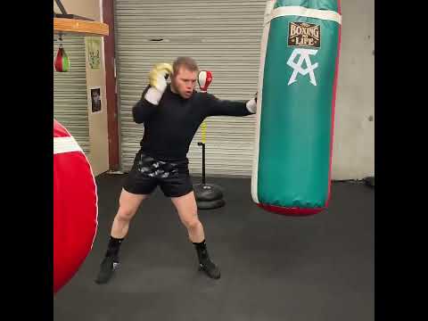 CANELO ALVAREZ PERFECTS