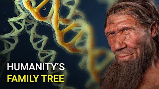 Scientists Want To Create A Family Tree For All Humanity