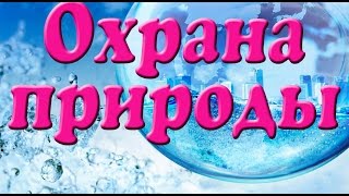 Реферат: Охрана природы 2