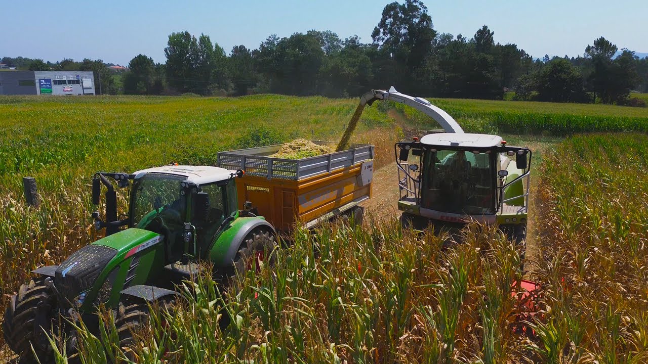 Corn Silage - One shot, no cuts