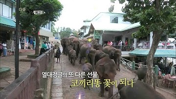 140318 다큐공감 예고 ㅣ KBS방송