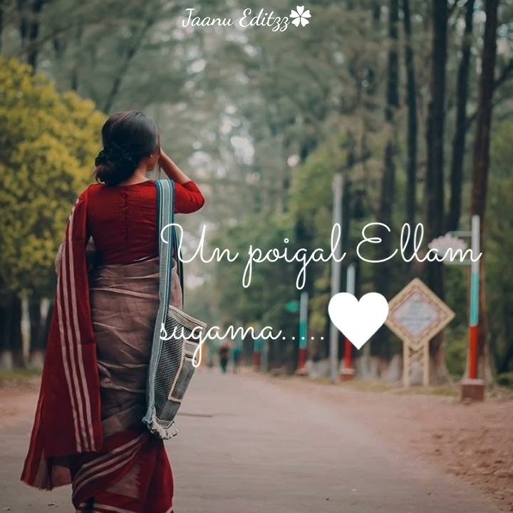 Anbe sugama | Paarthale paravasam | female love song whatsapp status tamil