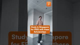 Study in SINGAPORE for FREE with these Scholarships ?