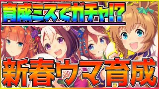 【新春配信】本育成ミスしたらガチャ⁉カプリコーン杯最強ウマ娘作りつつ新年挨拶します！/夏タイキシャトル/ヤマニンゼファー/キングヘイロー/チャンピオンズミーティング/プリティーダービー【うまむすめ】