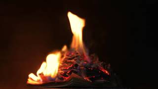 Burning Book  Free Background Video, Royalty Free Videos And Motion Graphics For Content Creators