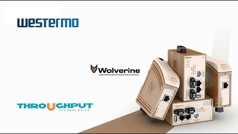 Wolverine - Extend your network far beyond the normal limits of Ethernet