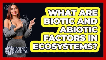 What Are Biotic And Abiotic Factors In Ecosystems? - Science Through Time