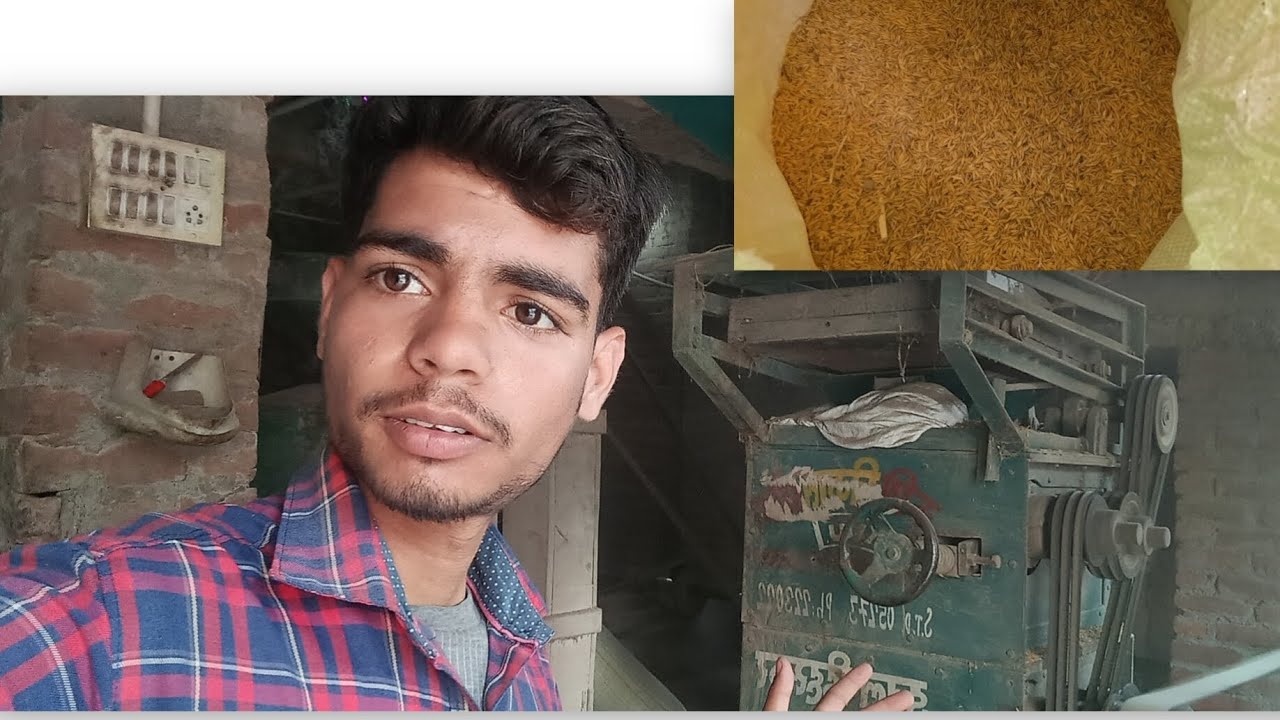 Dhaan ka production convert into rice🍚🌾