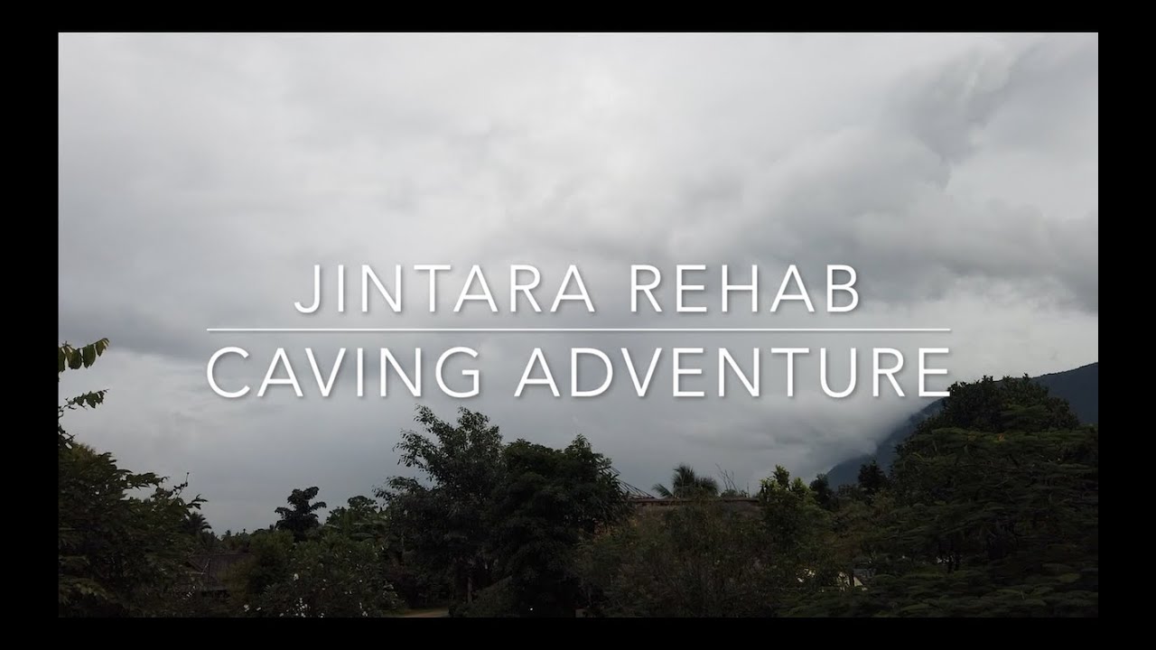 Jintara journey to the center of yourself