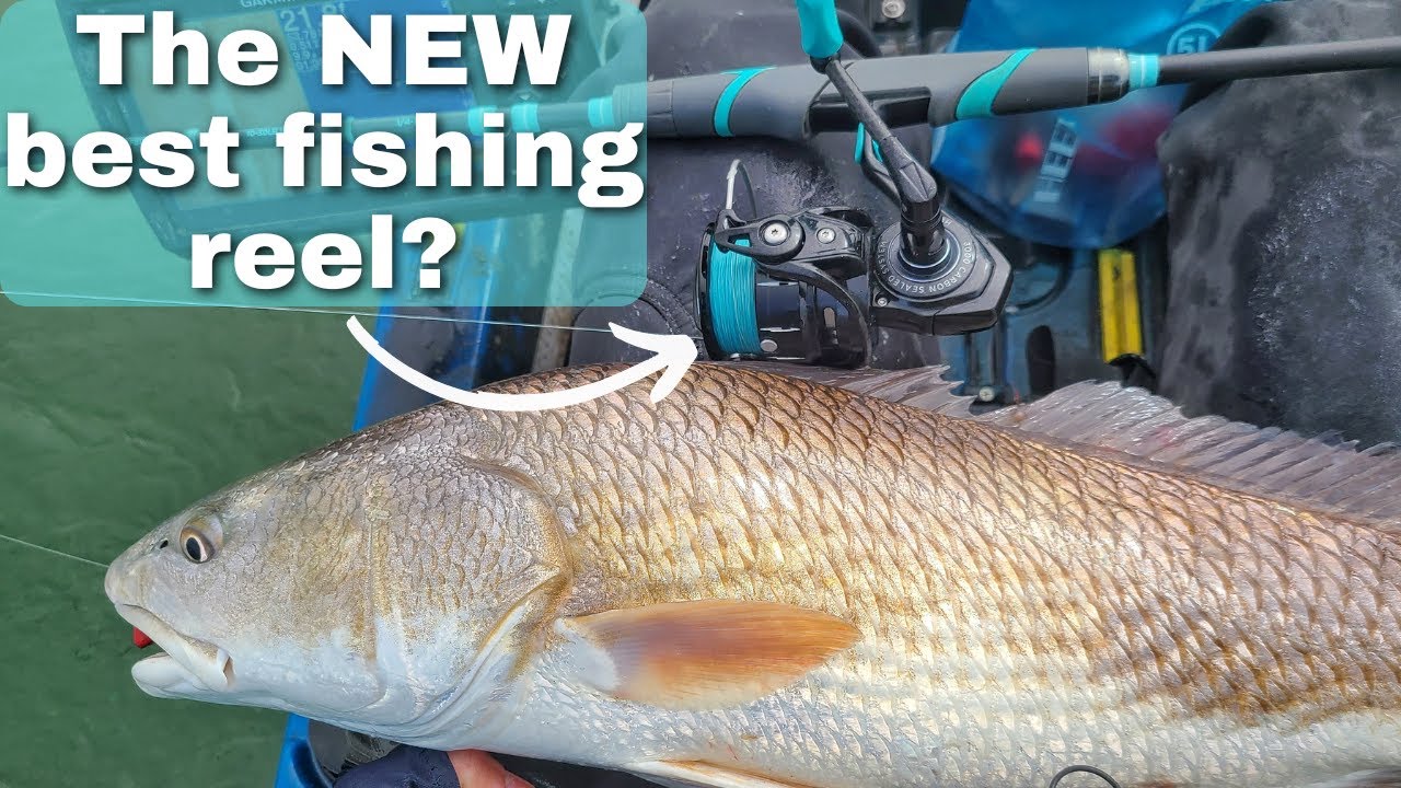 Is This The Best Inshore Fishing Reel? On The Water Test (I Caught