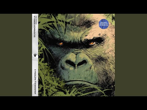 Watch Silverback Gorilla on YouTube Watch Silverback Gorilla on YouTube