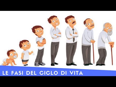 Video: Ciclo Di Vita Organizzativo E Sue Fasi Principali