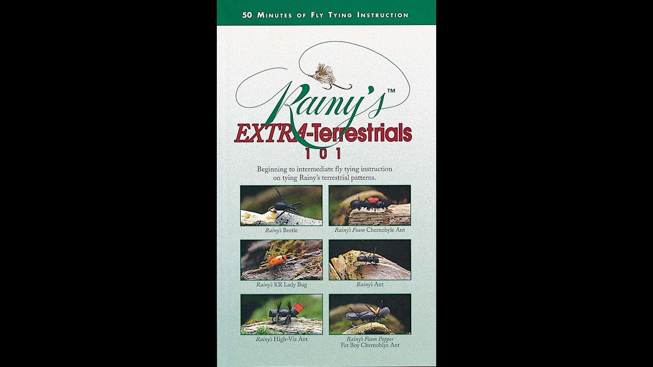 Rainy's Extra Terrestrials 101