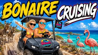 BONAIRE’S BEST ADVENTURE!! 😎 🦩🫏
