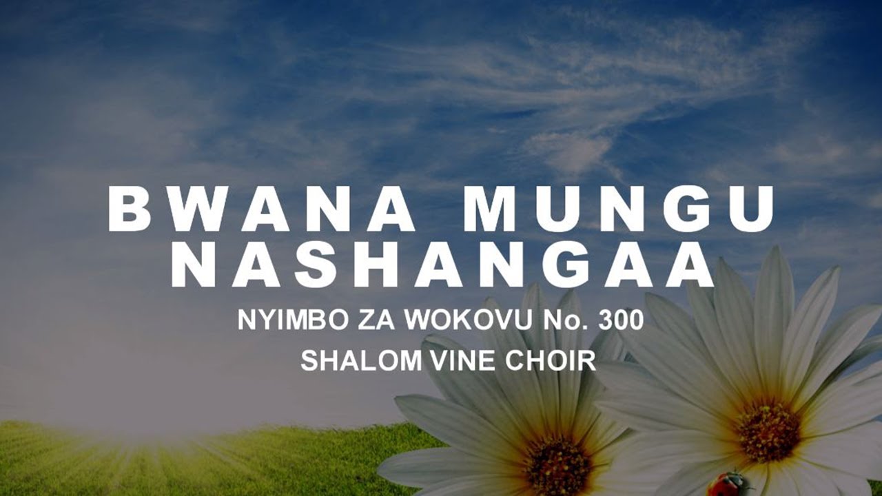 BWANA MUNGU NASHANGAA-SHALOM VINE SINGERS (OFFICIAL AUDIO GOSPEL)WIMBO WA WOKOVU