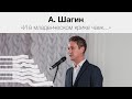 Антон Шагин «И в младенческом крике чаек...»