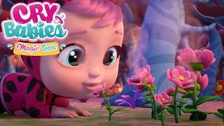 Smells of the COTTON CANDY FOREST🌲HAPPY FLOWERS 🌸🌻🌹 CRY BABIES 💧 MAGIC TEARS 💕 Kids Show
