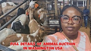 OUR BIGGEST SUPRISE IN ENUNCLAW AUCTION FARM WASHINGTON UNITED STATES
