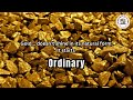 From Raw Gold to Brilliance – The Power of Career Counseling