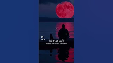 #قرآن #اكسبلور #تلاوة_خاشعة #لايك #القرآن_الكريم