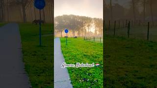 Beautiful sunrise 🌄 #nature#almere #netherlands #covermusic #relaxingmusic