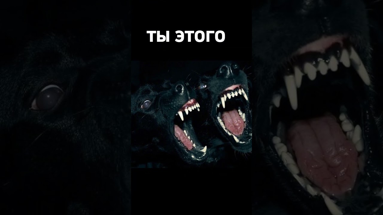 полтора дня💓 