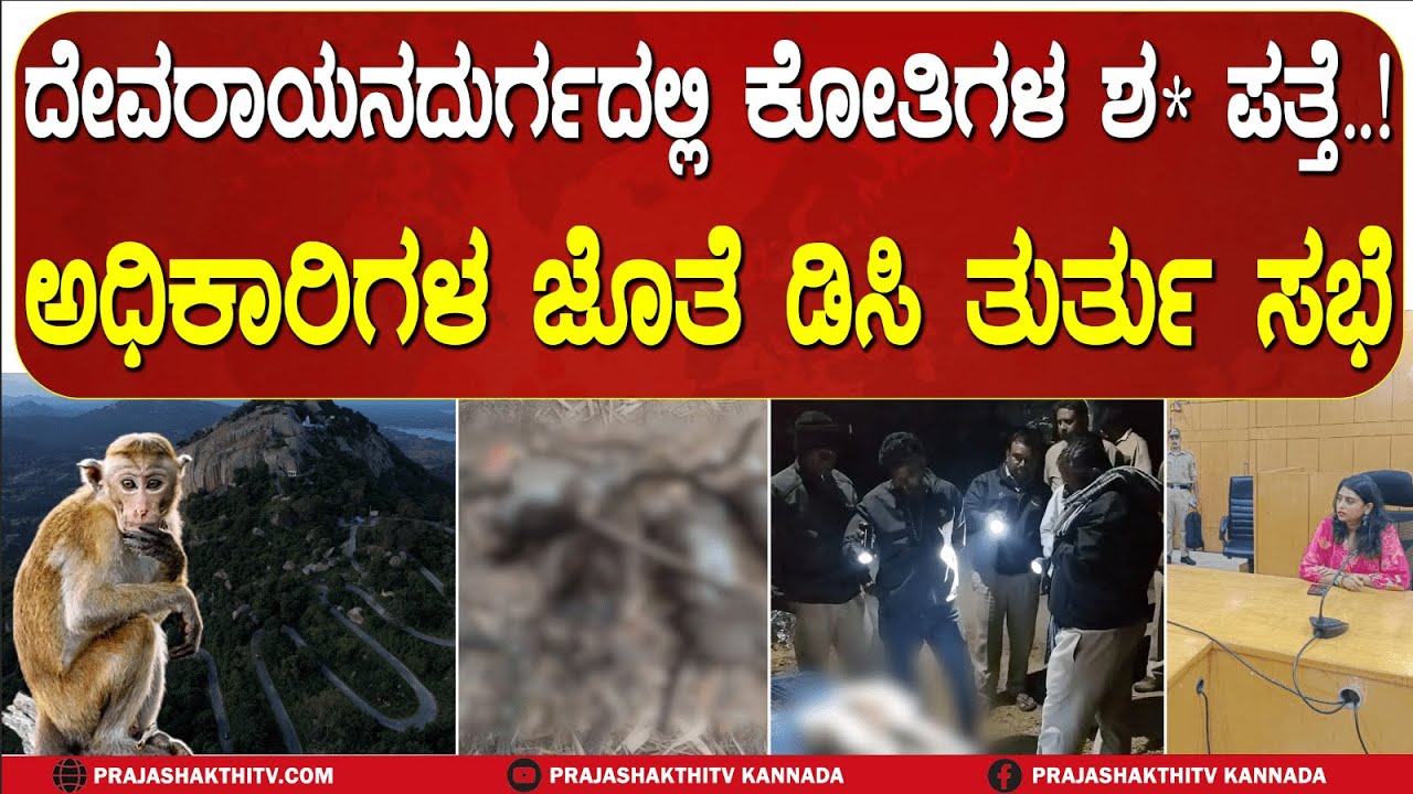 DEVARAYANA DURGAದಲ್ಲಿ ಕೋತಿಗಳ ಮಾರಣಹೋಮ..? ಅಧಿಕಾರಿಗಳೊಂದಿಗೆ DC ದಿಢೀರ್‌ ಸಭೆ