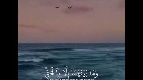 ( وَإِنَّ السَّاعَةَ لَآتِيَةٌ ۖ فَاصْفَحِ الصَّفْحَ الْجَمِيلَ )  هزاع البلوشي سورة الحجر - 85