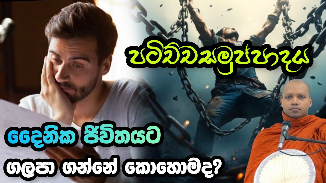 පටිච්චසමුප්පාදය දෛනික ජිවිතයට ගලපා ගන්නේ කොහොමද? Hasalaka Seelawimala Thero.හසලක සීලවිමල හිමි.