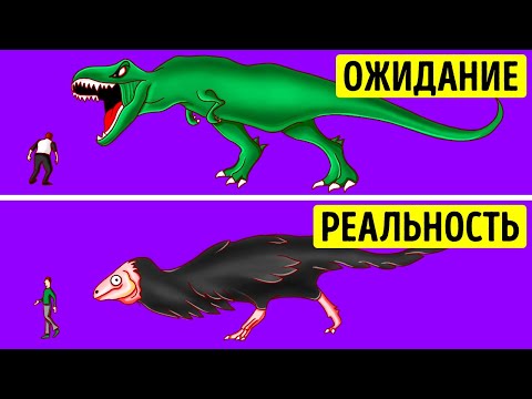 Как на самом деле выглядели динозавры и другие интересные факты для самых умных